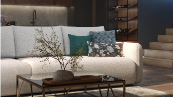 Lot de coussins décoratifs n° 11