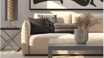 Lot de coussins décoratifs n° 6