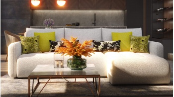 Lot de coussins décoratifs n° 5