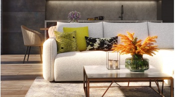 Lot de coussins décoratifs n° 5