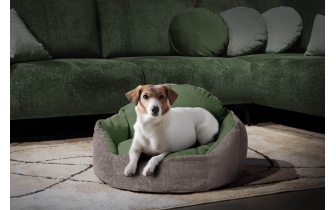 Panier pour chien et chat 70 x 55 cm beige + vert MICKEY