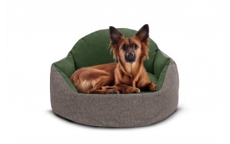 Panier pour chien et chat 70 x 55 cm beige + vert MICKEY