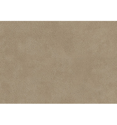 Échantillon de tissu Dakota 1, couleur: beige