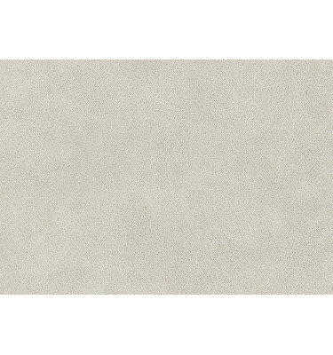 Échantillon de tissu Dakota 5, couleur: ecru