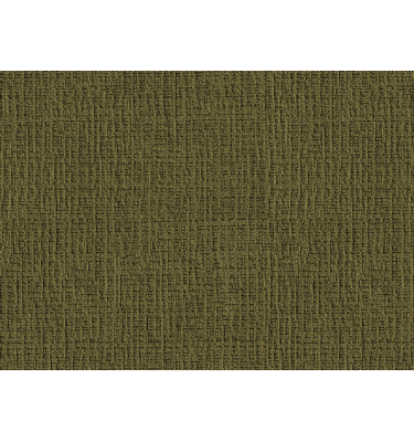 Échantillon de tissu Fenix 21, couleur: olive