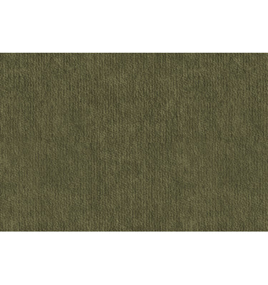 Échantillon de tissu Lumo 38, couleur: olive
