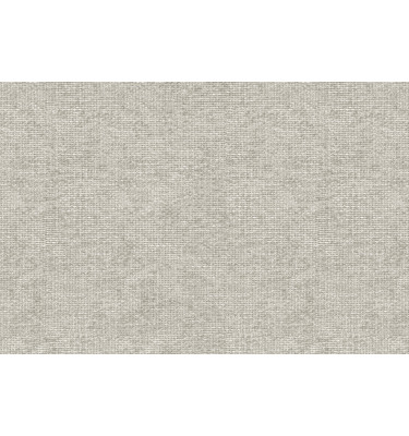 Échantillon de tissu Sajma 15, couleur: écru