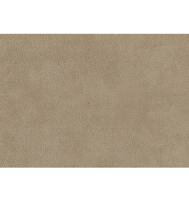 Échantillon de tissu Dakota 1, couleur: beige