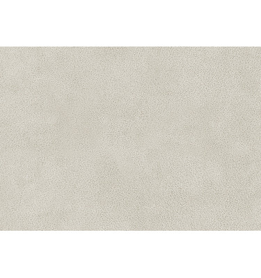 Échantillon de tissu Dakota 5, couleur: ecru