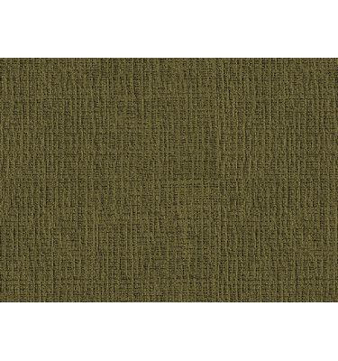 Échantillon de tissu Fenix 21, couleur: olive