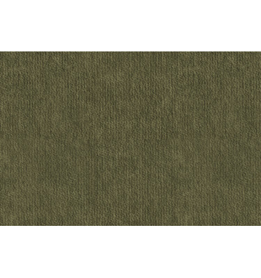 Échantillon de tissu Lumo 38, couleur: olive