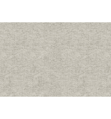 Échantillon de tissu Sajma 15, couleur: écru